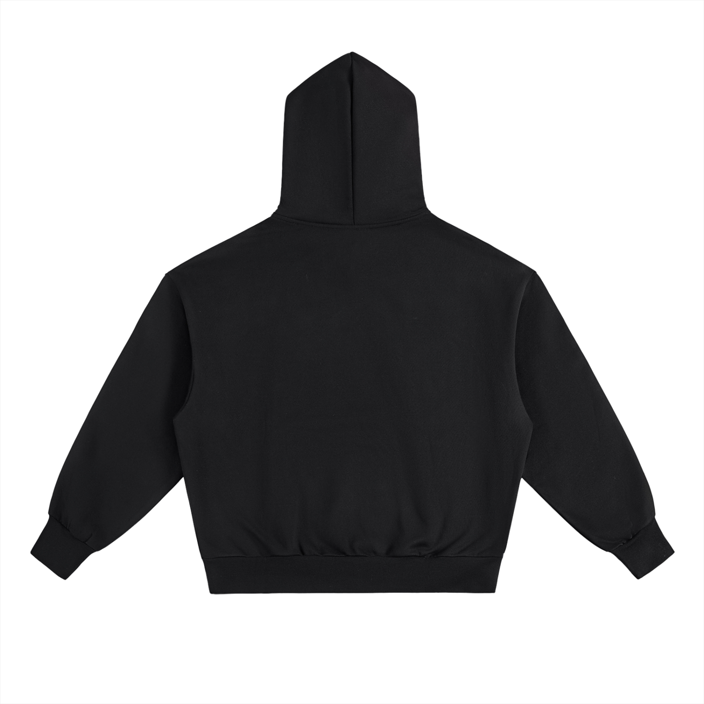 Shabbos Goy Hoodie